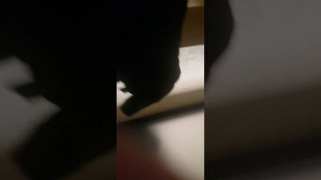 lv_0_20250605184611.mp4