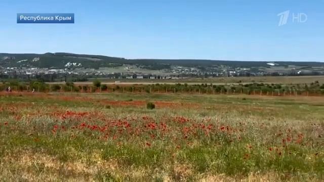 Крым открывает курортный сезон! Репортаж Первого канала от 2.06.2025