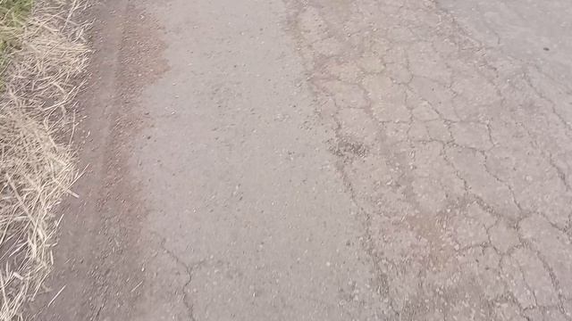 ошиблась
