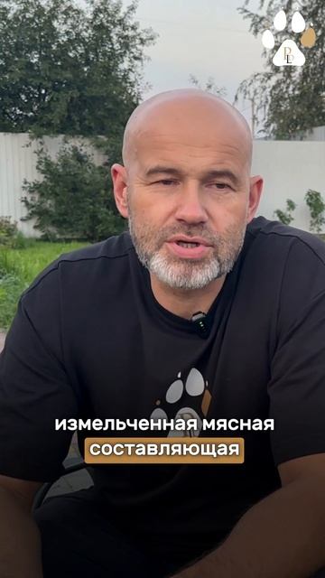 Сырое мясо и сухой корм для собак - какая связь?