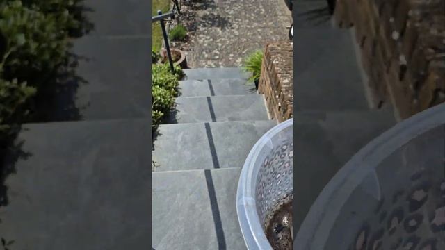 Гашение золы уксусом. Дача как хобби.