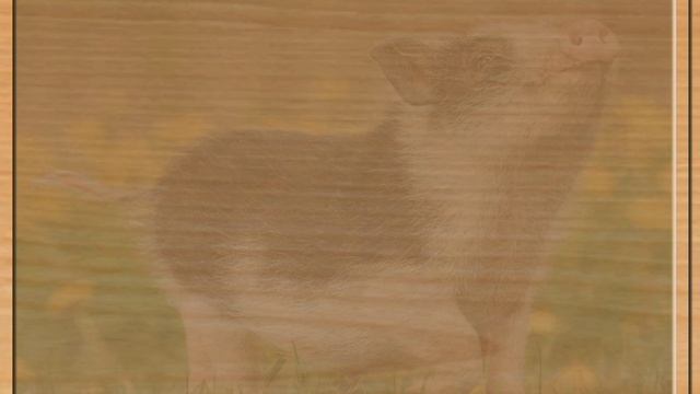 Мультфильмы для детей . Мультики для детей.