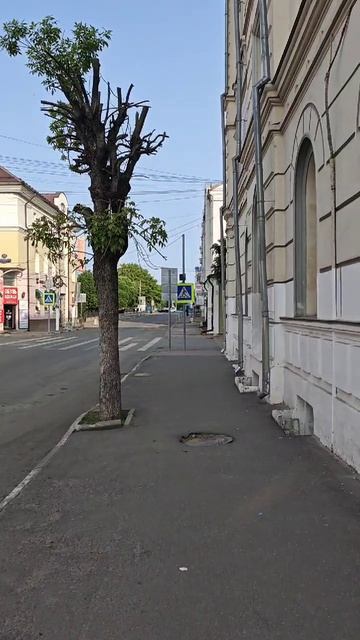 г.Тверь 05.06.25 ⏰7:00АМ, +14° мысли вслух и скандинавская ходьба