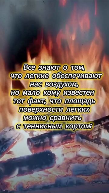 топ 3 факта о человеке