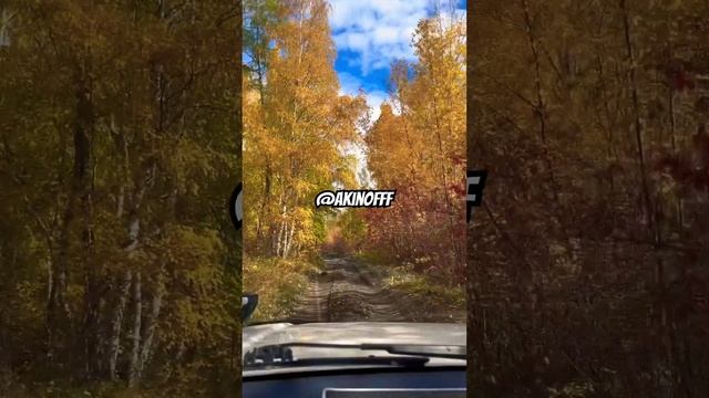 Золотая осень в Якутии. #якутия #russia #хочуврек #золотая?