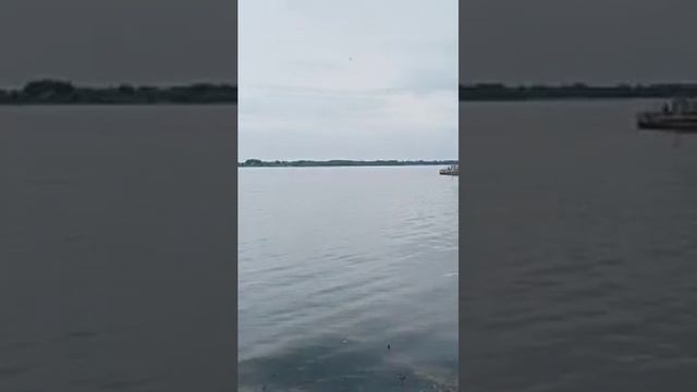 Волга.Село Никольское. 22.05.2023.Берег