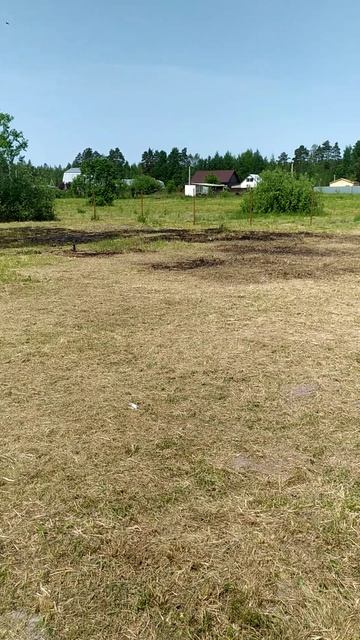 VID_20250605_112444.mp4