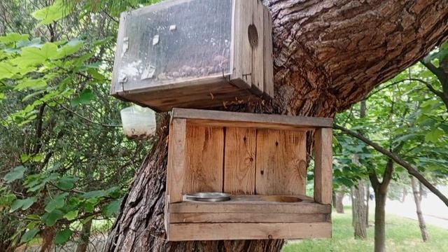video_2025-06-03_18-28-57