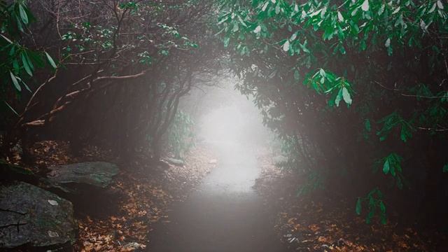 Музыка для фитнеса слушать