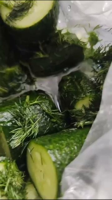 Огурцы малосольные