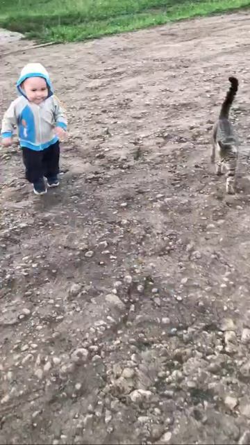Наш TG https://t.me/liveofcats