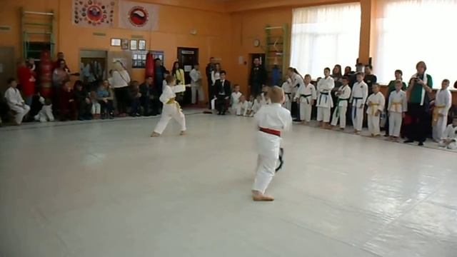 ката СК "БУДО" техника каратэ