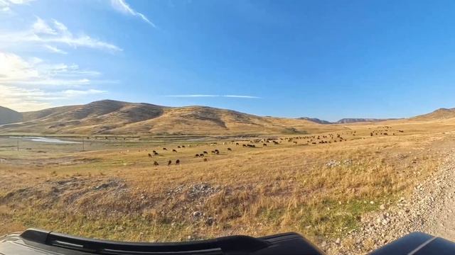 Туркестанская область. Пещера Ак Мечеть / Пещера Тутты