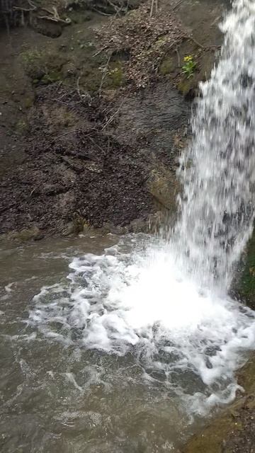 лес природа красота водопады