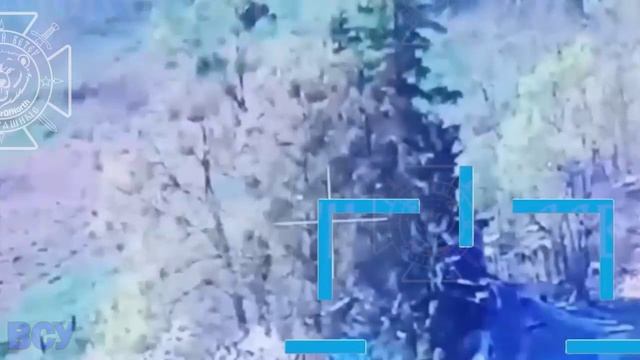 Морпехи группировки "Север" уничтожают живую силу ВСУ в ПВД в Сумской области