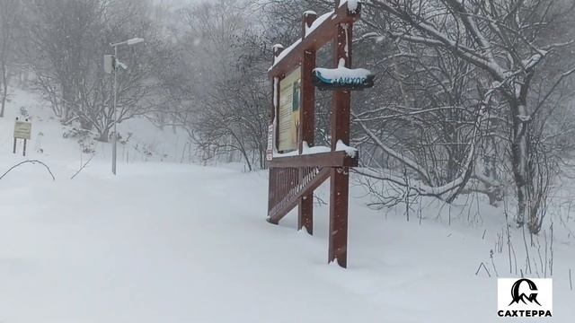 На Рождество на гору Лягушка. Как выпал снег на Сахалине. озеро Буссе #СахТерра #Сахалин #trip