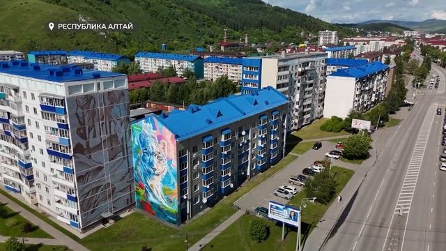 Мурал, посвящённый снежному барсу, открыли в Горно-Алтайске ("Будни",03.06.25г., Бийске телевидение)