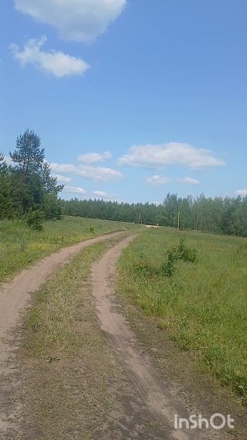 выпуск от 05.06.25. Липецк. Поездка на природу по грибы.