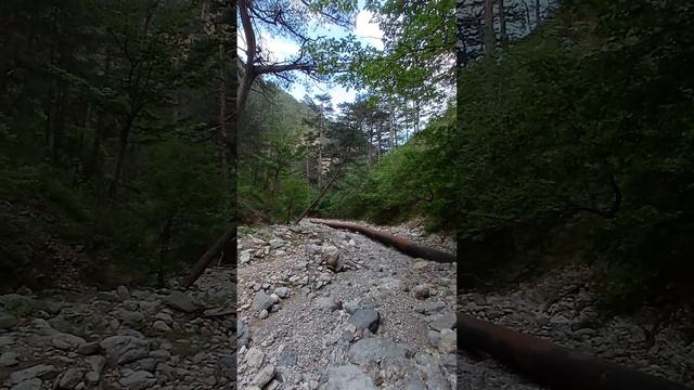 1000083187.mp4