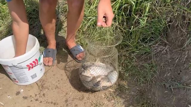Вот это-РЫБАЛКА!!! Выловили всего карася.