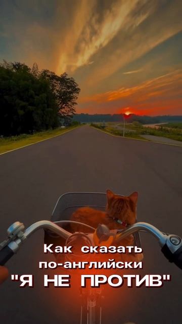 Школа английского языка