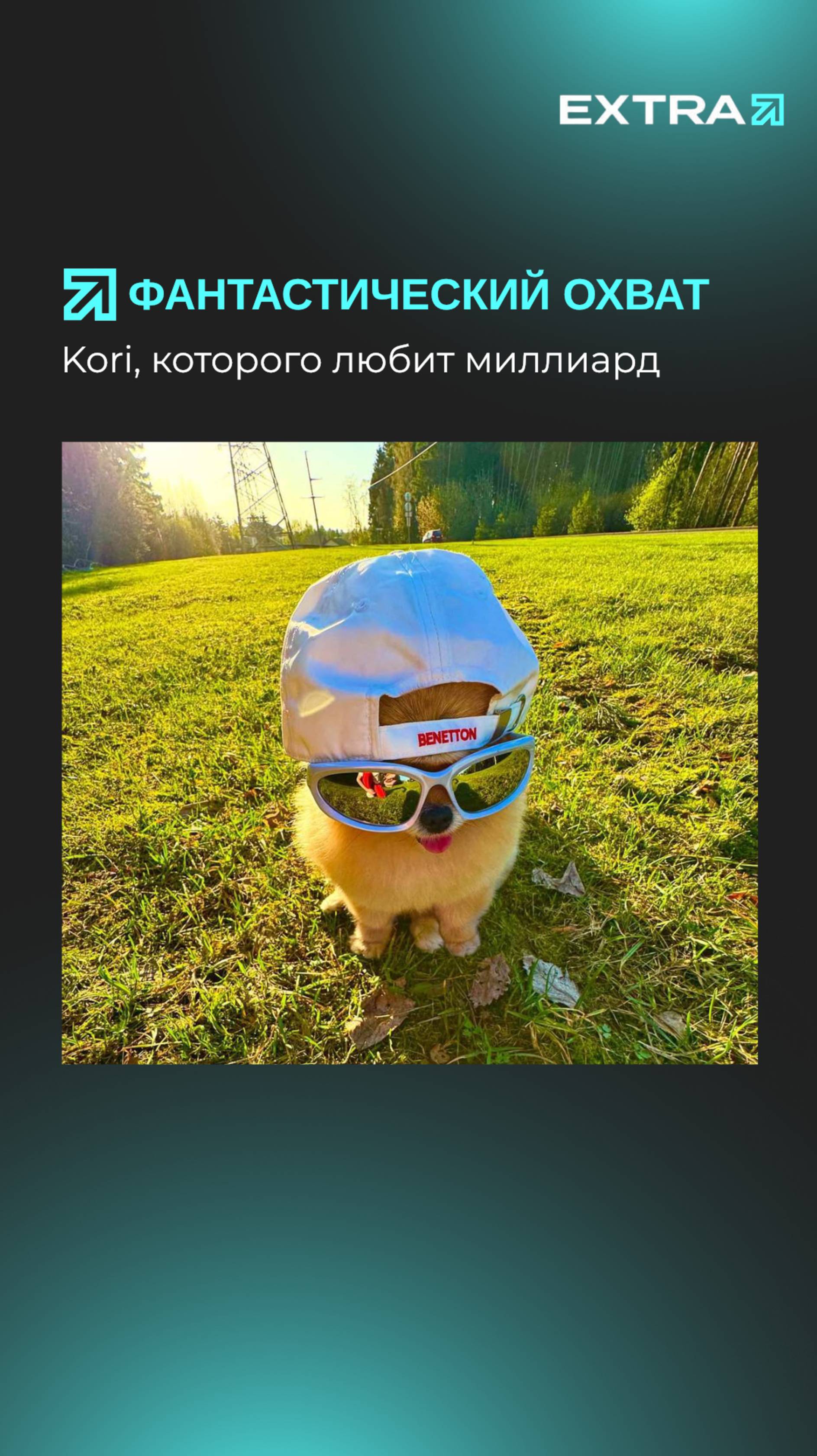 Как Вам такой амбассадор бренда?
