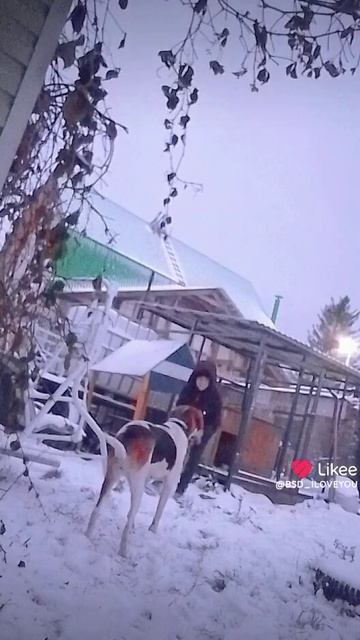 Собака это самый лучший друг человека 💗❤♥