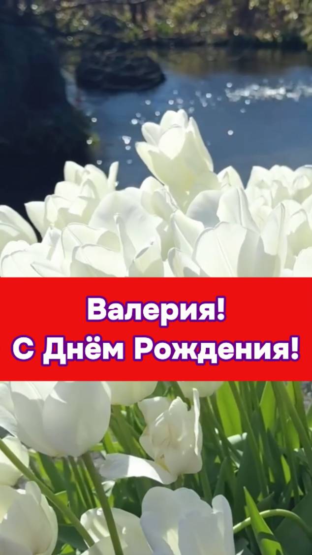 Валерия, с Днём Рождения!