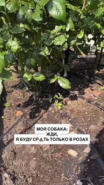 Тг - Этичный Маркетинг с Лучистой