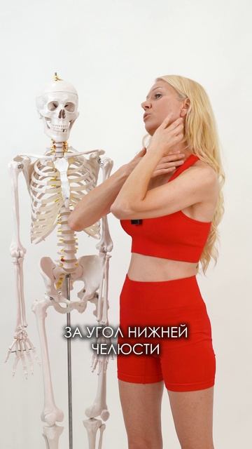 Делаем массаж шеи #shorts #шея #каркукли