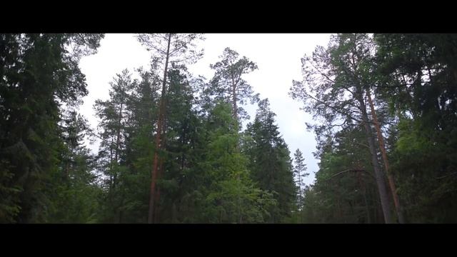 Серебряные острова - остров Коневец