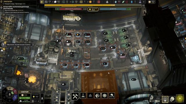 IXION №5 Звёздная Бабочка