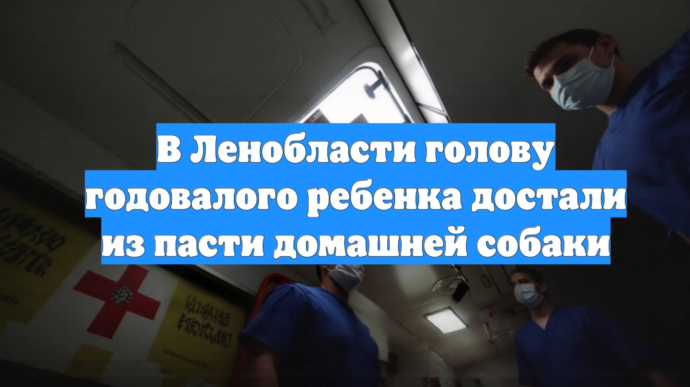 В Ленобласти голову годовалого ребенка достали из пасти домашней собаки