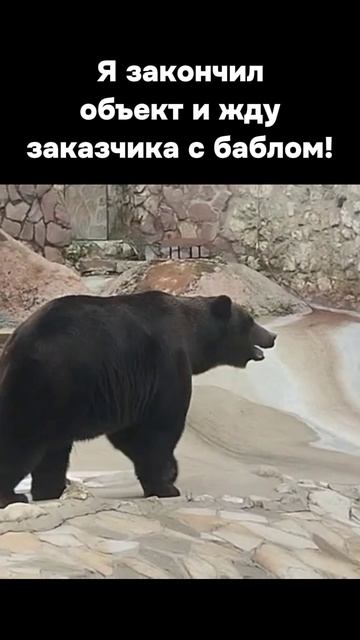 Я жду!!!
