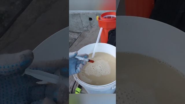 Нужная обработки винограда перед цветением.