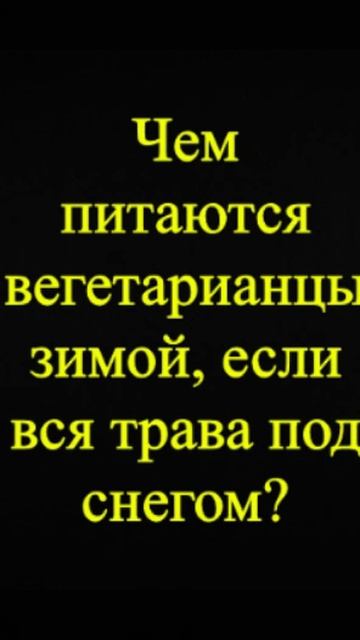 Мозгоправ самоубился. Книга первая. Вопрос 53