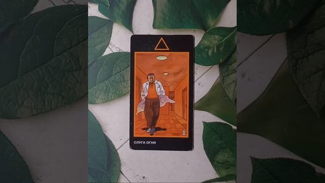 Для начинающих.Таро Манара.Фигурные арканы. Слуга Огня.