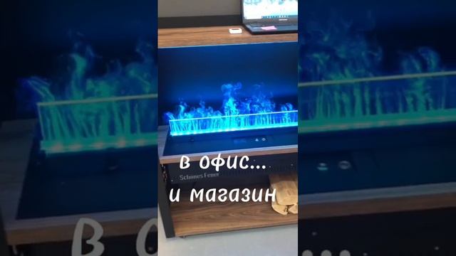 1000005386.mp4