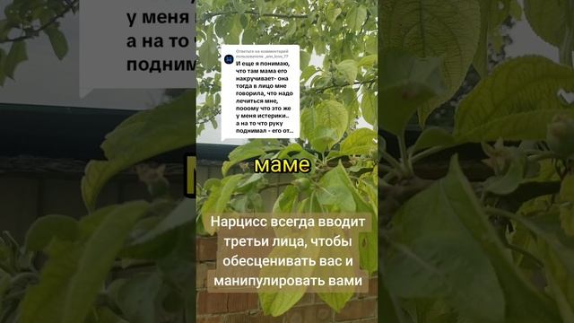 Триангуляция Нарцисса. Он всегда вводит в отношения третьи лица!