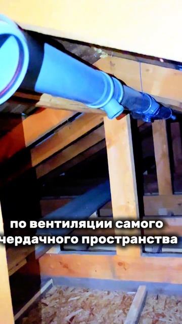 1000033565.mp4