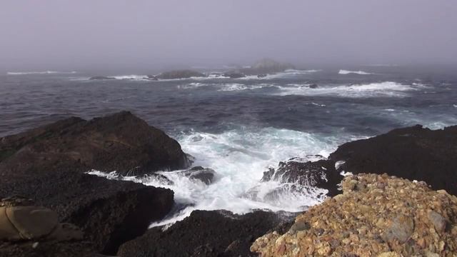 Relax. Ocean.