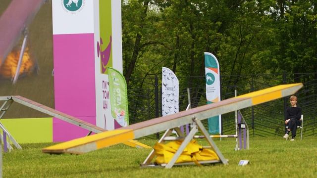 Атмосфера второго Чемпионата РКФ «Кубок столицы» и квалификационных состязаний по аджилити