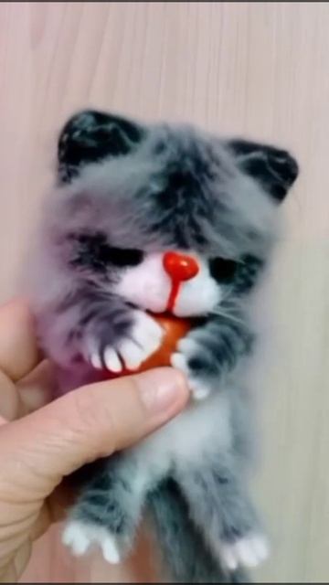 Кто не любит котиков, кто не любит кошек?🐈⬛🐈🐈⬛