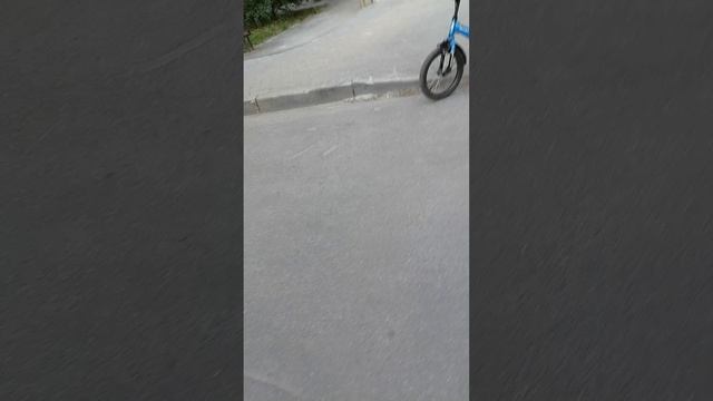 Поиски бандита 1часть.