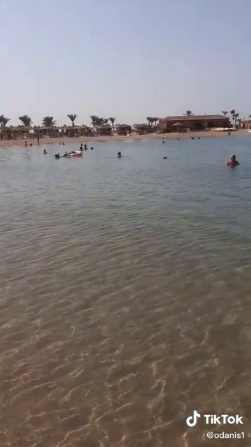 Labranda Royal Makadi красное море