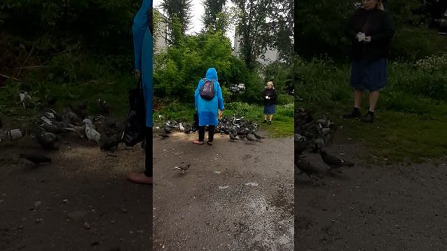 EASY ARABIC.Легко! PersonalMETHOD🐪 Egyptian Египетский🐪 Lots of food for pigeons Много еды