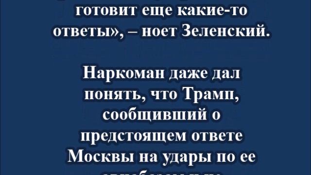 Зеленский раскритиковал Трампа после разговора с Путиным
