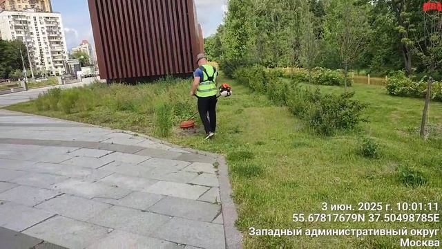 «Зеленый каркас» по-московски: с любовью — триммером по природе