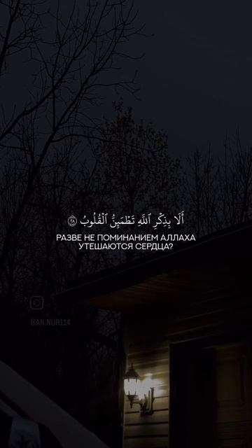 ❤️❤️❤️