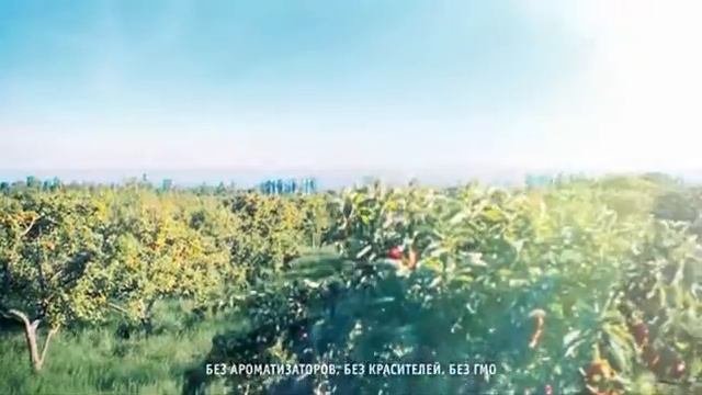 BioniQ - натуральный компот!